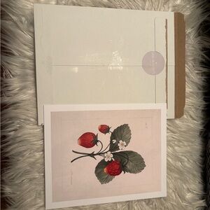 Strawberry Botanical Art Print - Jilly Box